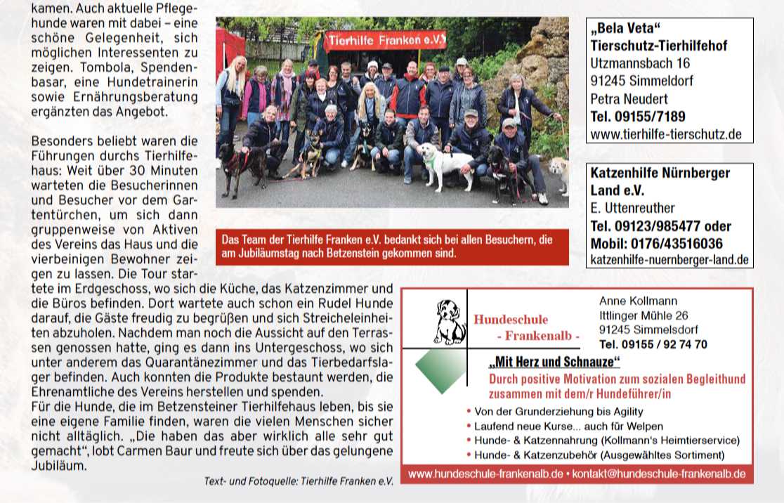 viele Hunde suchen ein Zuhause